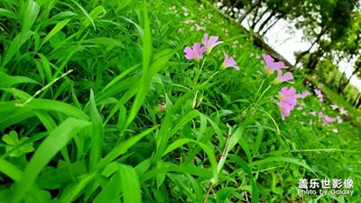 春天的復(fù)蘇