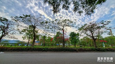 s10+，在城里，有了方向，也沒了方向