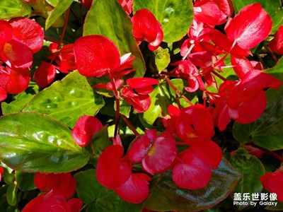 周末，南沙走走