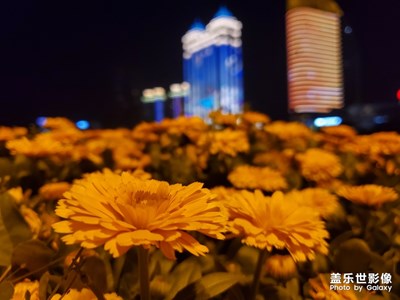 半年了，終于回了一次家