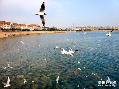 【希望】+展翅飛翔