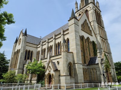 因?yàn)榕恼瞻裺1O+換成了s2OUltrα，