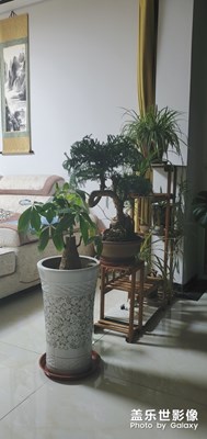 小試牛刀