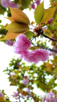 四月隨手拍（二）