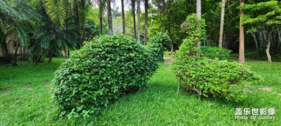 公園的一角