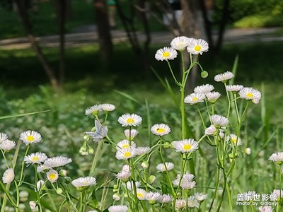 簡(jiǎn)潔的世界