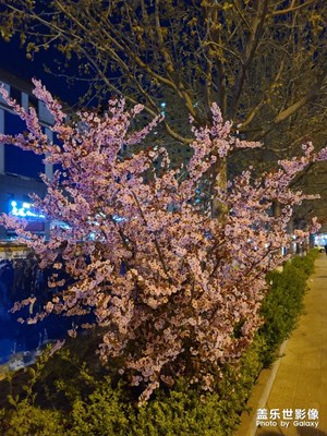 昌黎夜色
