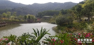 游玩杜鵑谷，
