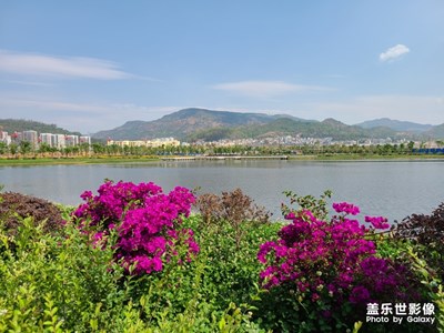 【春日麗影】+武定濕地公園