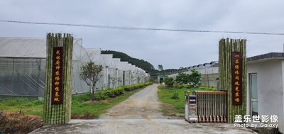 羅浮山好農(nóng)場(chǎng)