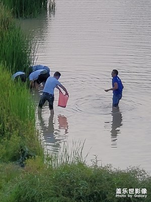 抓魚(yú)的人們