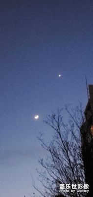 月亮代表我的心