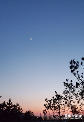 隨手拍