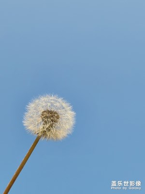 【精彩翻倍】+ 上班通勤路上的風(fēng)景