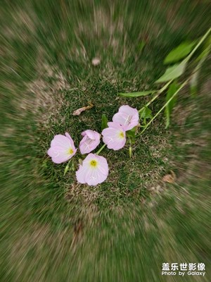 小長假三線城市享受綠色