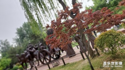 使用NOTE10+ 假期一個人 出去練習(xí)拍照