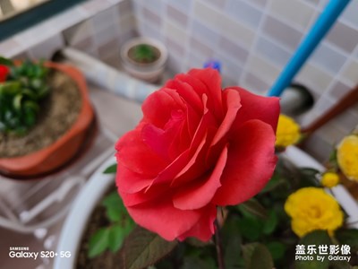 20s拍照果然不一樣