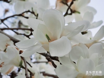 【精彩翻倍】+  Kanmars 無貼圖