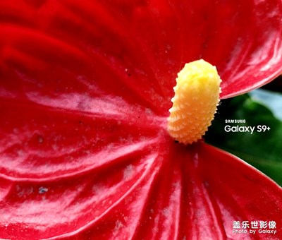 五月隨手拍（一）