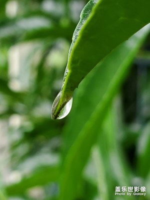 雨后