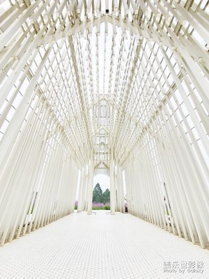 精彩翻倍＋放下單反拿上手機