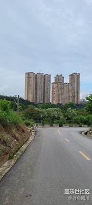 隨便拍拍
