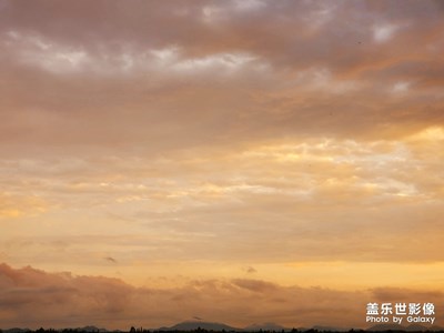 喜歡不是一時(shí)半會(huì)