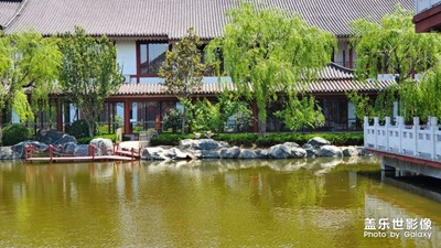 夏天的風(fēng)