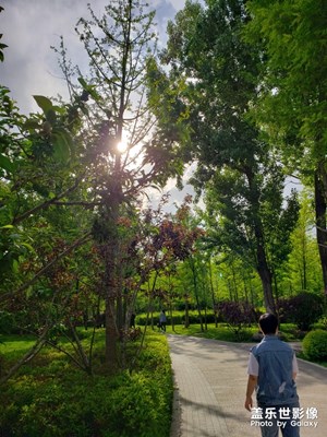 【在夏日】公園走走