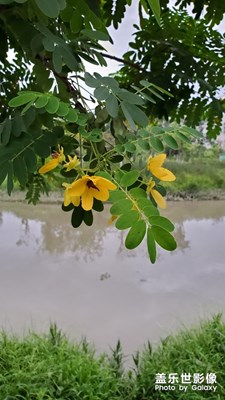 東莞