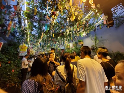游秦淮河