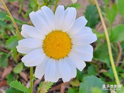 周末北京郊野公園隨手拍