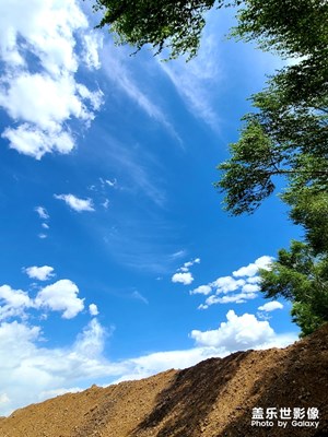 工地駐地及施工現(xiàn)場