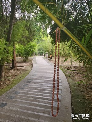 重游植物園！為愛祈福！