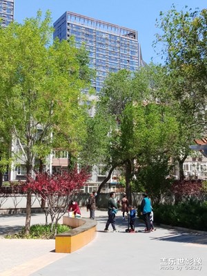 【你好，六一】帶娃