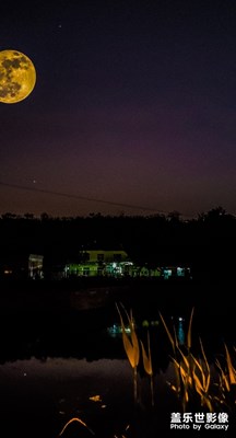 家的夜晚很安靜
