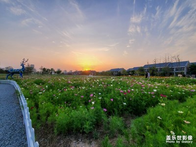夕陽??東夷小鎮(zhèn)