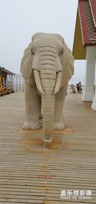 【光影生活】+夏日麗影