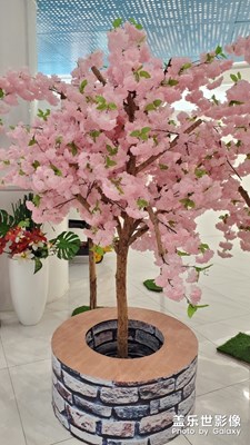 休息