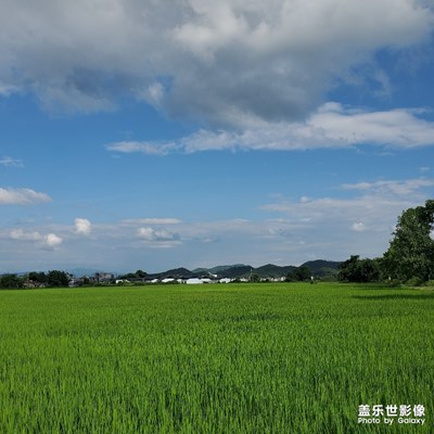 鄉(xiāng)村的寧靜