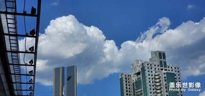 【夏日色彩】+藍(lán)天碧荷