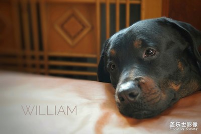 聽(tīng)說(shuō)發(fā)照片多可以被評(píng)為優(yōu)秀貼哦～