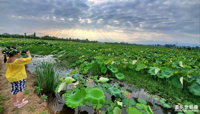 夏至溜達(dá)……