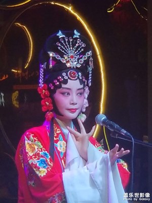 我愛我的城