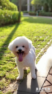 生活的記錄，note9的陪伴。