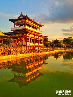 陽光正好