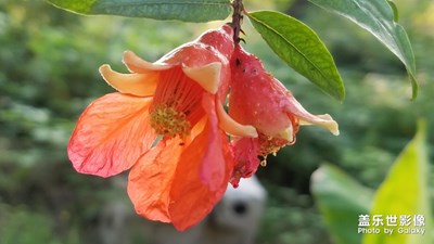 【與世界相遇】+夏天的景