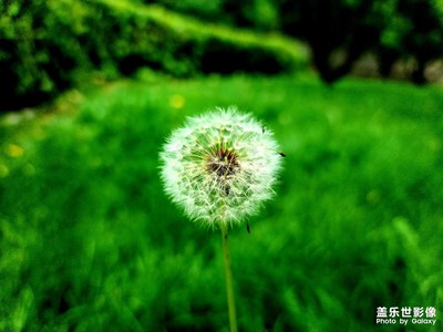 s20u更新相機(jī)以后出片情況