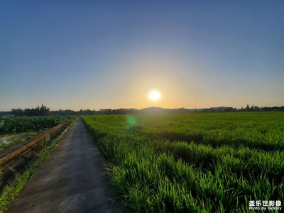 【角度與視覺】+夏日情節(jié)