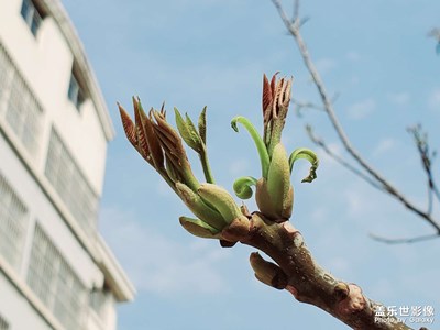 【角度與視覺】家鄉(xiāng)一日游